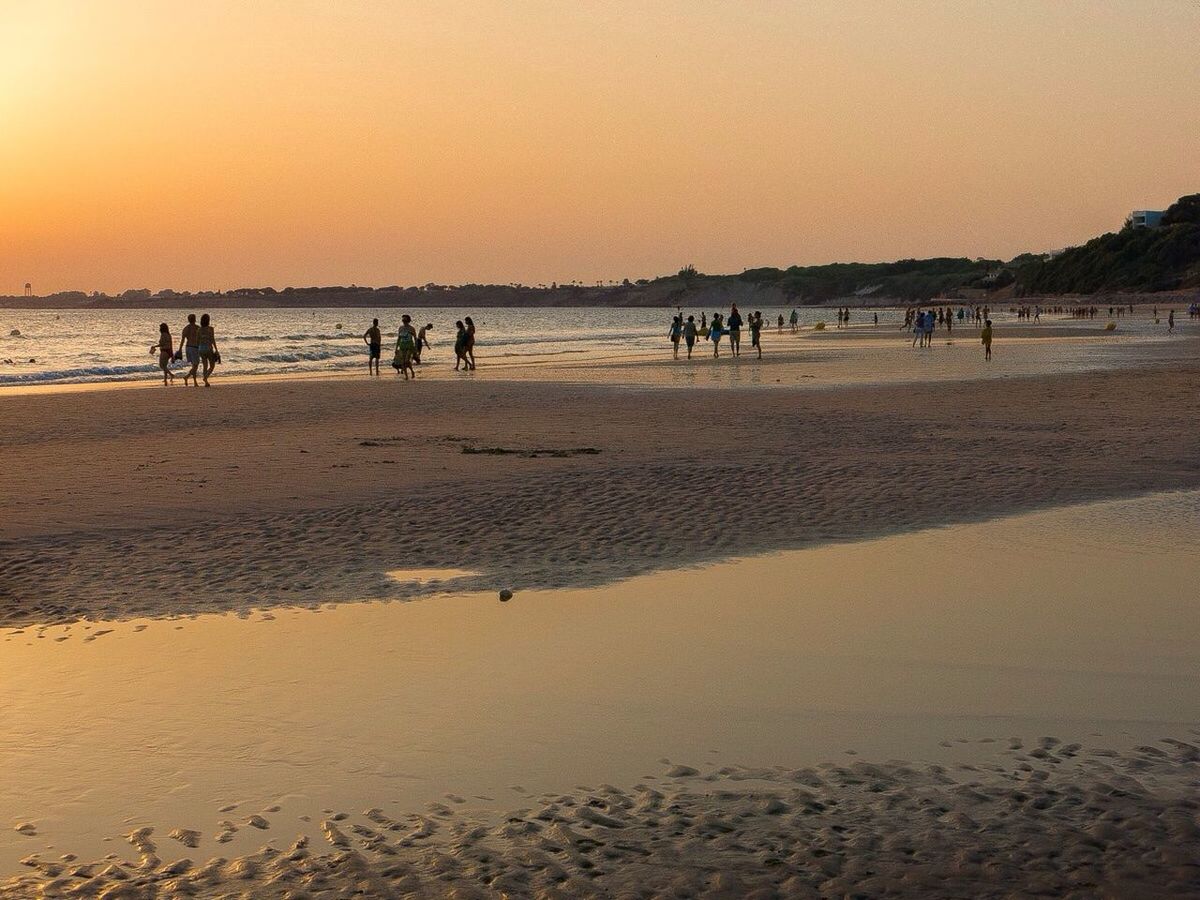Silhouette people enjoying at beach during sunset