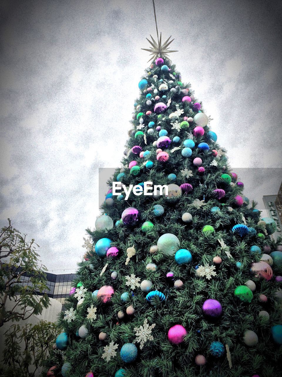 Low angle view of christmas tree against sky