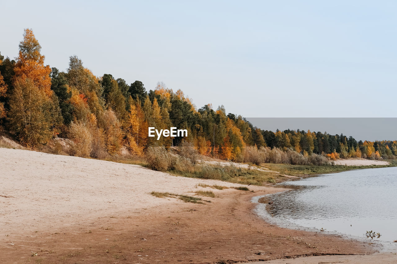 Beautiful autumn season riverside. yellow and orange forest trees and river bank in siberia. 