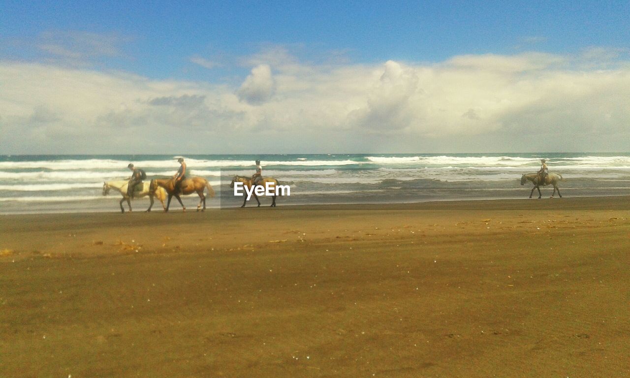 People riding horses on shore at beach