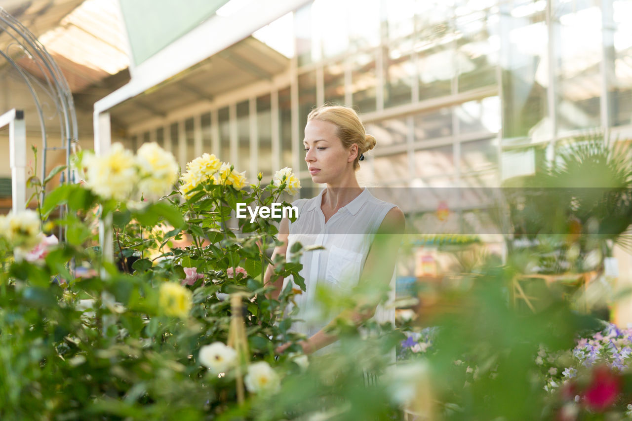 Woman standing by flowering plants in greenhouse