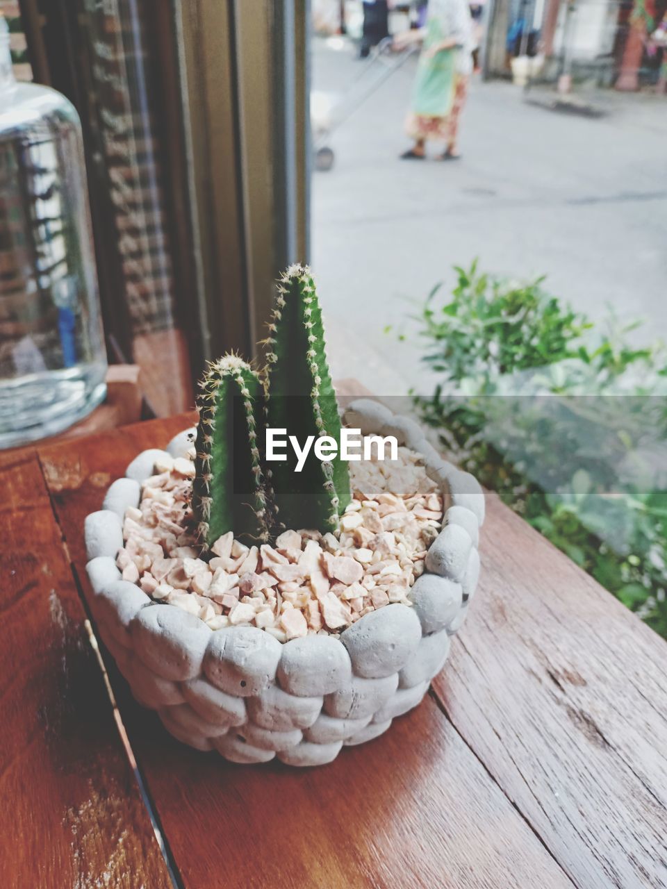 CLOSE-UP OF POTTED PLANT ON TABLE