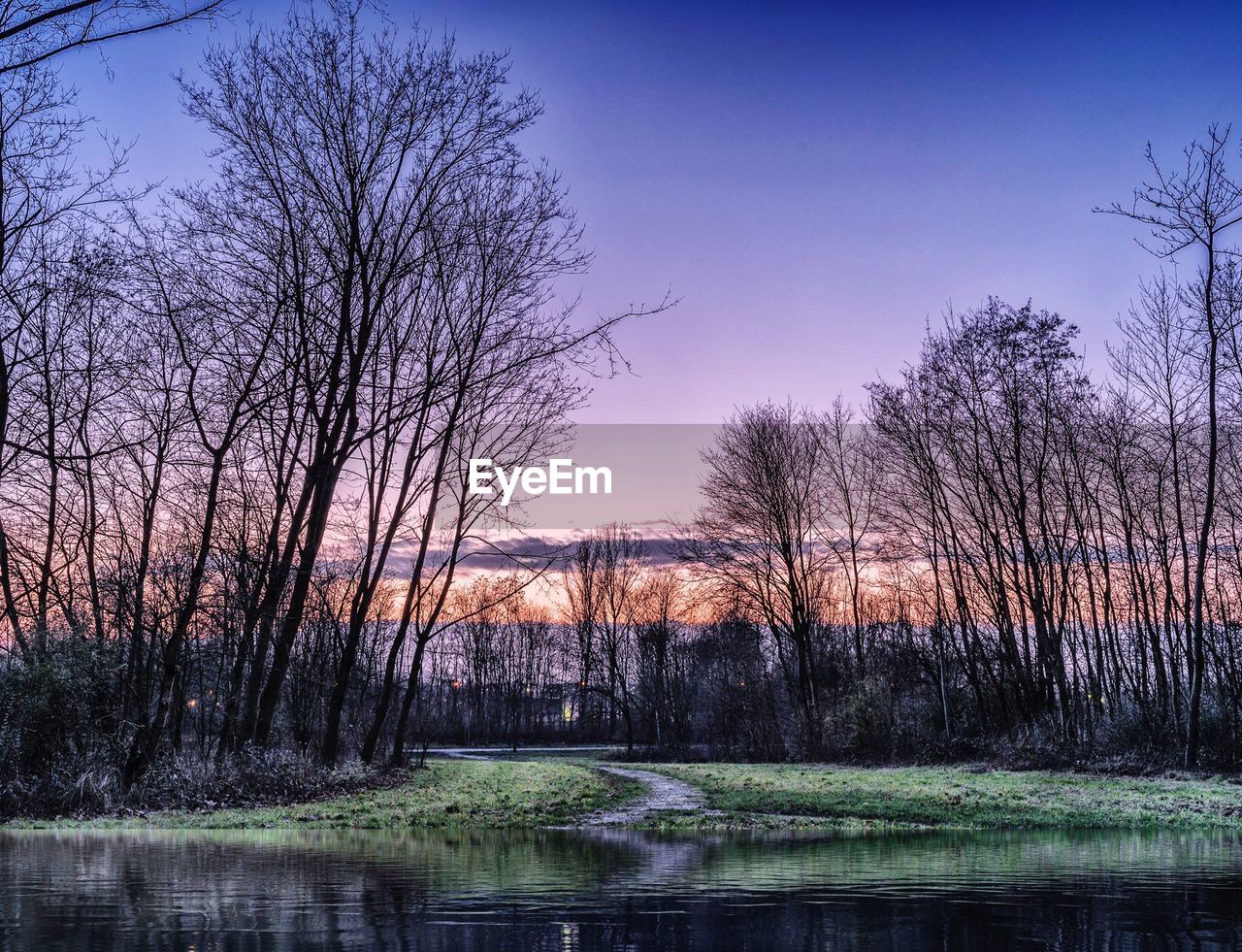 BARE TREES ON LAKE AGAINST SKY