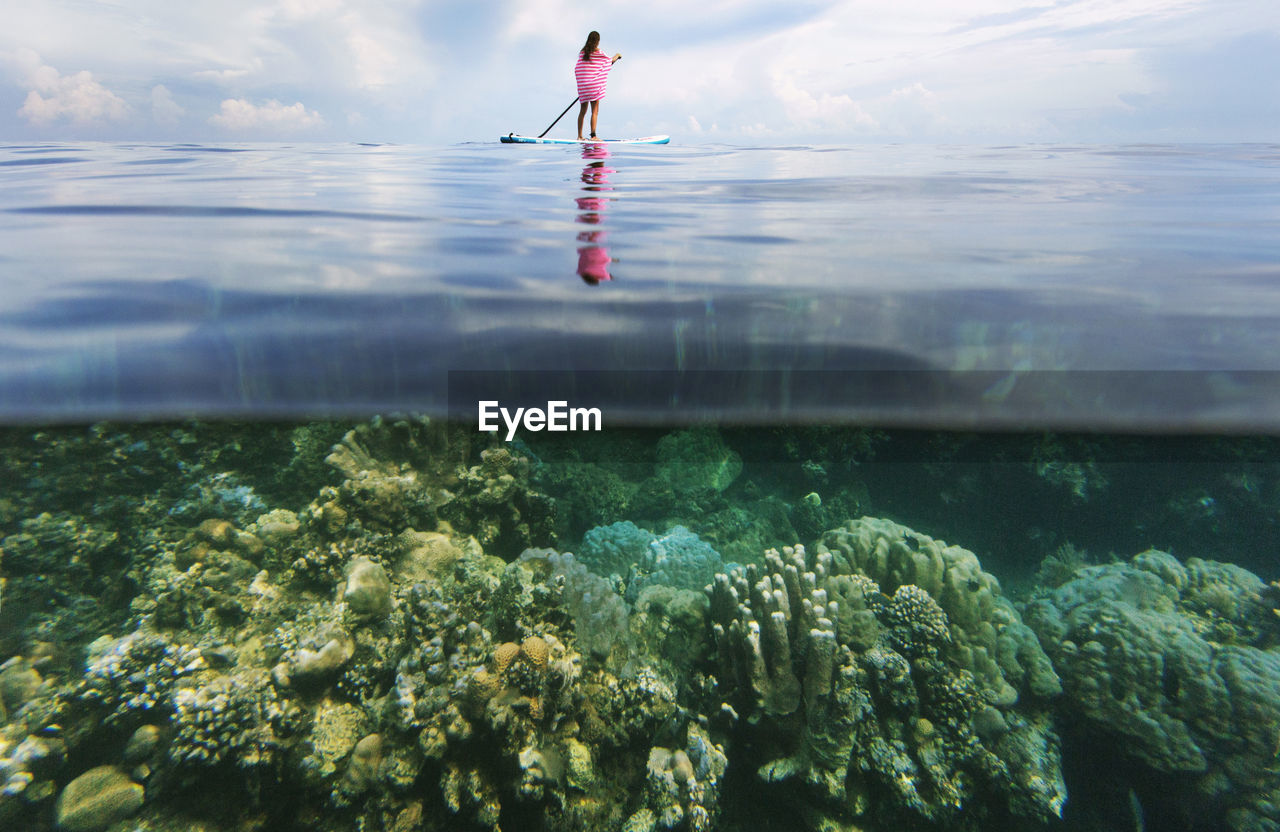 Distant view of woman paddleboarding on sea