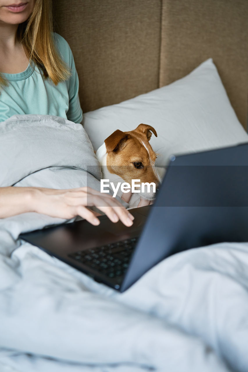 Woman with cute dog lying in bed and using laptop at morning