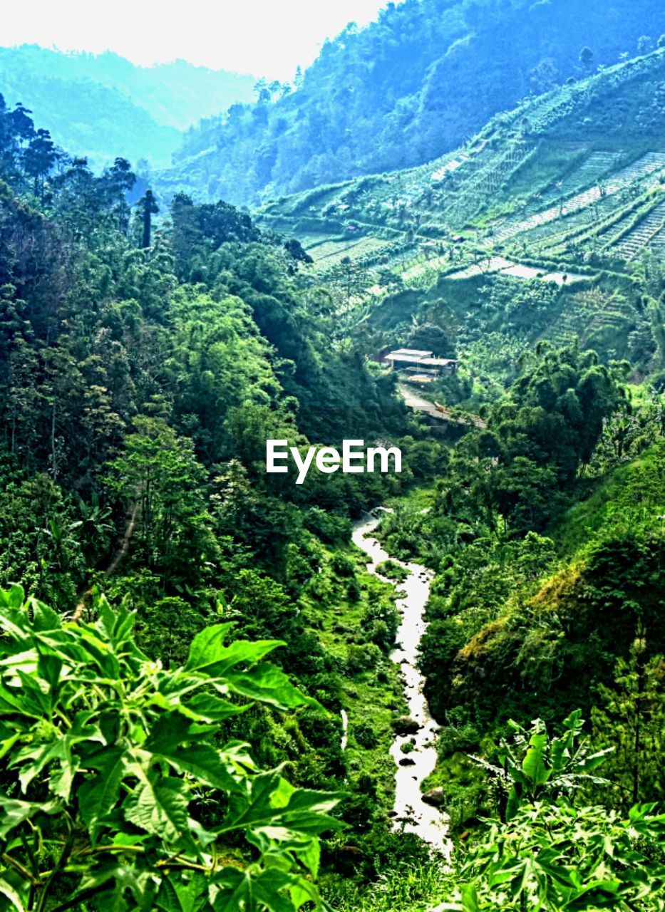 SCENIC VIEW OF MOUNTAINS