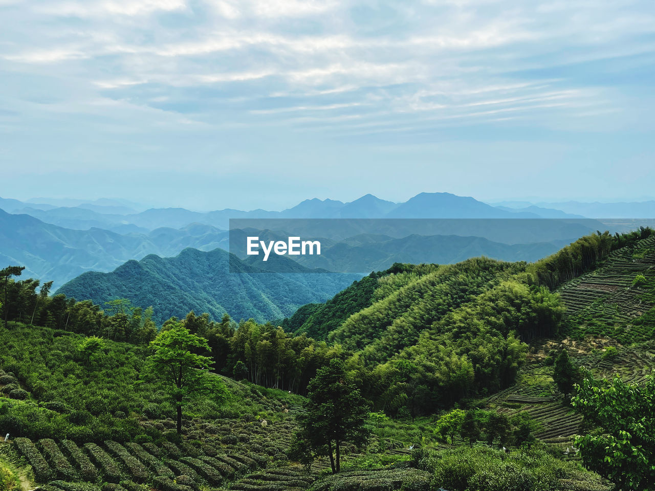 environment, scenics - nature, landscape, plant, beauty in nature, mountain, land, sky, tree, nature, cloud, tranquility, green, forest, field, rural scene, growth, tea crop, tranquil scene, agriculture, no people, crop, mountain range, outdoors, valley, natural environment, plantation, travel, day, lush foliage, foliage, non-urban scene, idyllic, environmental conservation, plateau, social issues, hill station, travel destinations, tourism, high angle view, farm, wilderness