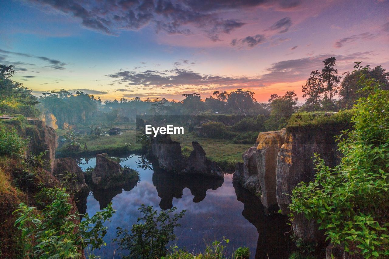 Scenic view of trees during sunset