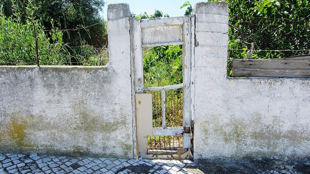 Damaged door on surrounding wall against trees