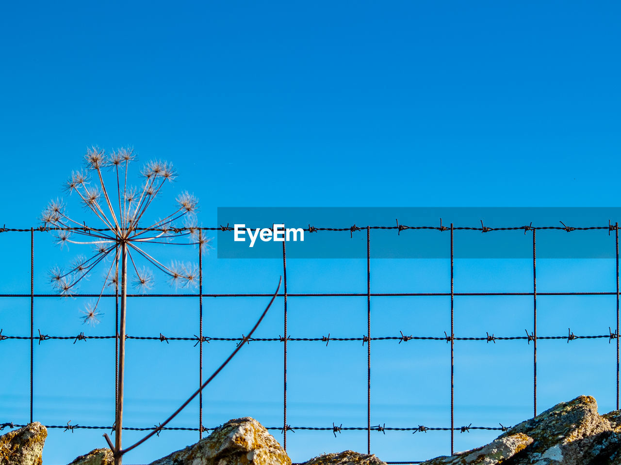 LOW ANGLE VIEW OF POWER LINES AGAINST BLUE SKY