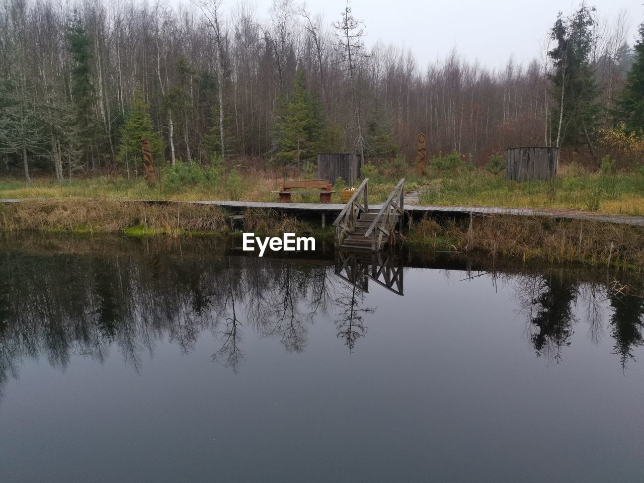 REFLECTION OF TREES IN LAKE AGAINST SKY IN FOREST