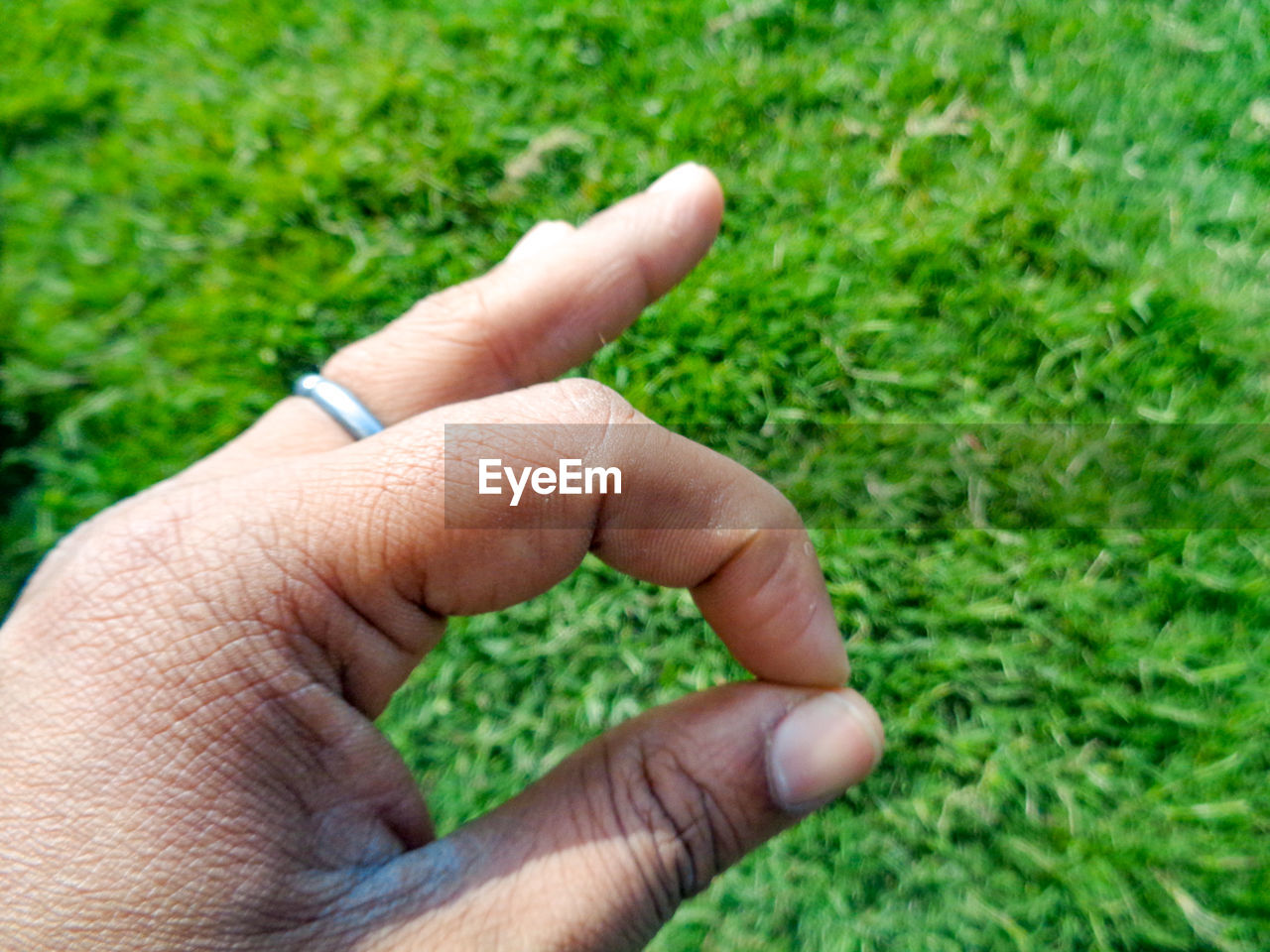 CLOSE-UP OF PERSON HAND HOLDING GRASS