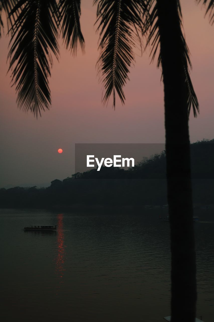 tree, water, sky, tranquility, beauty in nature, silhouette, palm tree, nature, scenics - nature, tranquil scene, sunset, plant, tropical climate, dusk, reflection, no people, evening, idyllic, sea, outdoors, beach, travel destinations, land, non-urban scene, horizon, coconut palm tree