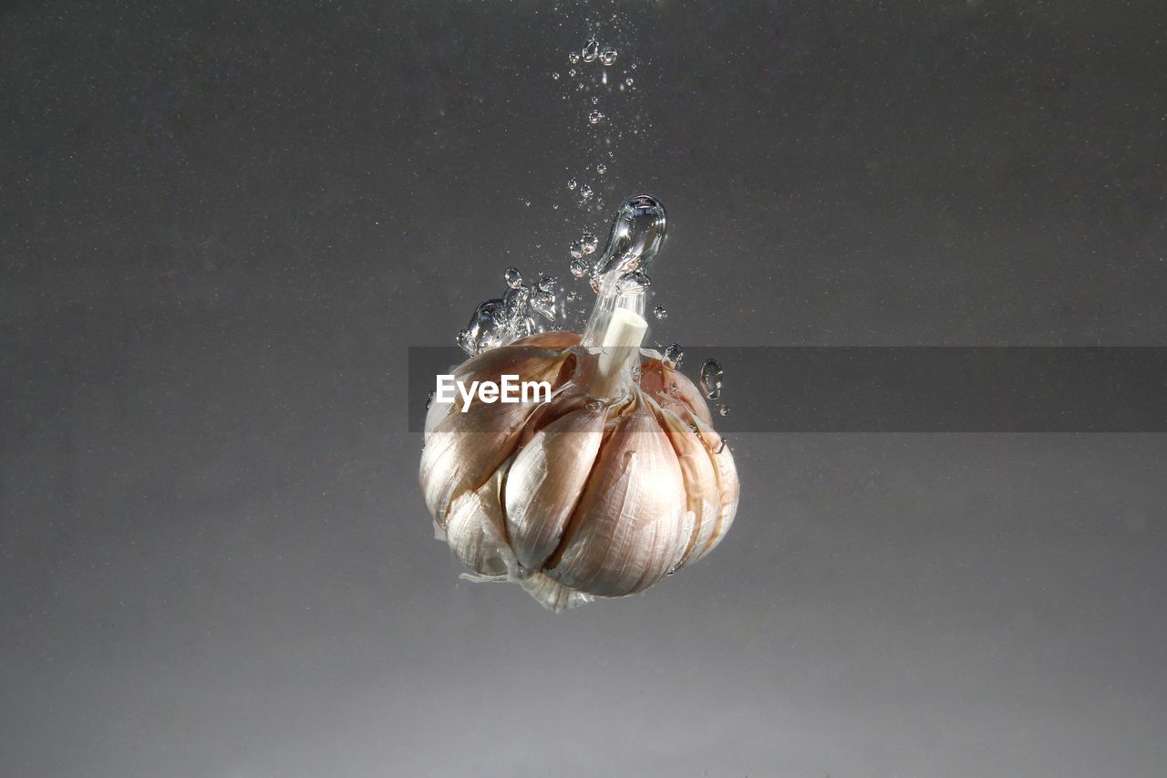 Clove of fresh garlic dropped in water