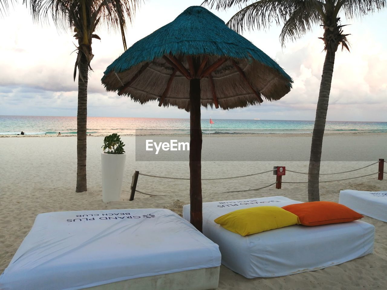 LOUNGE CHAIRS AND PALM TREES ON BEACH