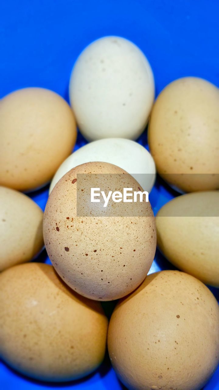 HIGH ANGLE VIEW OF EGGS IN BLUE TABLE