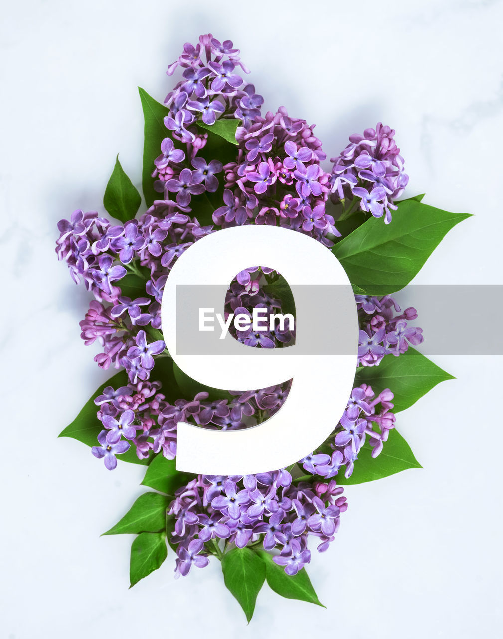 lilac, flowering plant, purple, flower, plant, nature, violet, freshness, bouquet, studio shot, no people, lavender, indoors, leaf, plant part, beauty in nature, directly above, flower head, arrangement, art, fragility