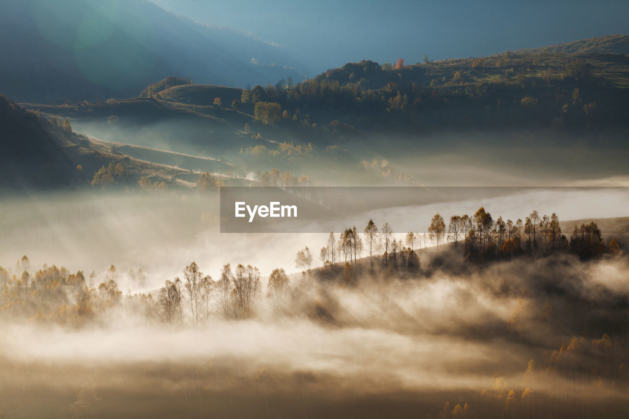 Scenic view of trees on foggy landscape against sky