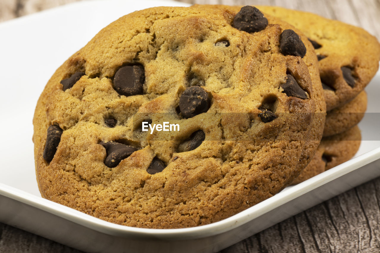 Freshly made chocolate chip cookies on a plate.