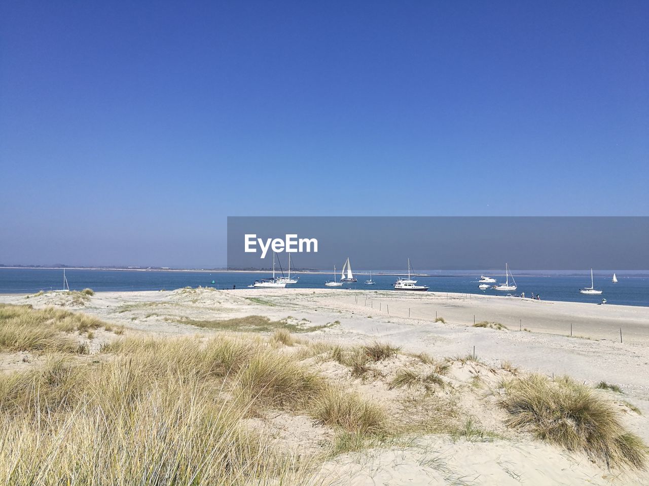 Scenic view of beach against clear blue sky