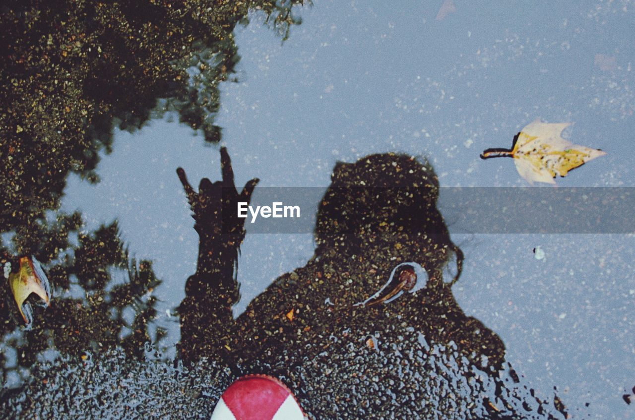 Woman reflecting on puddle during rainy season
