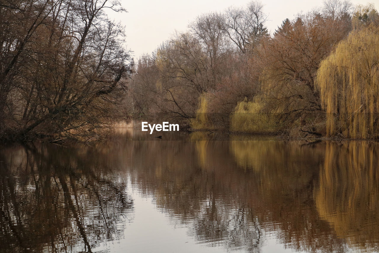 Reflection of trees in lake against sky