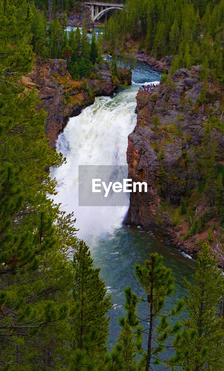 Scenic view of waterfall in forest