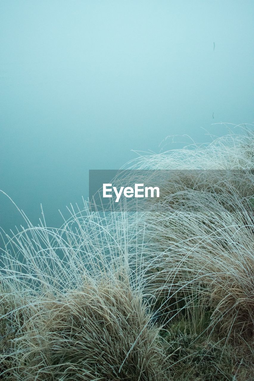 Scenic view of lake against clear sky during winter