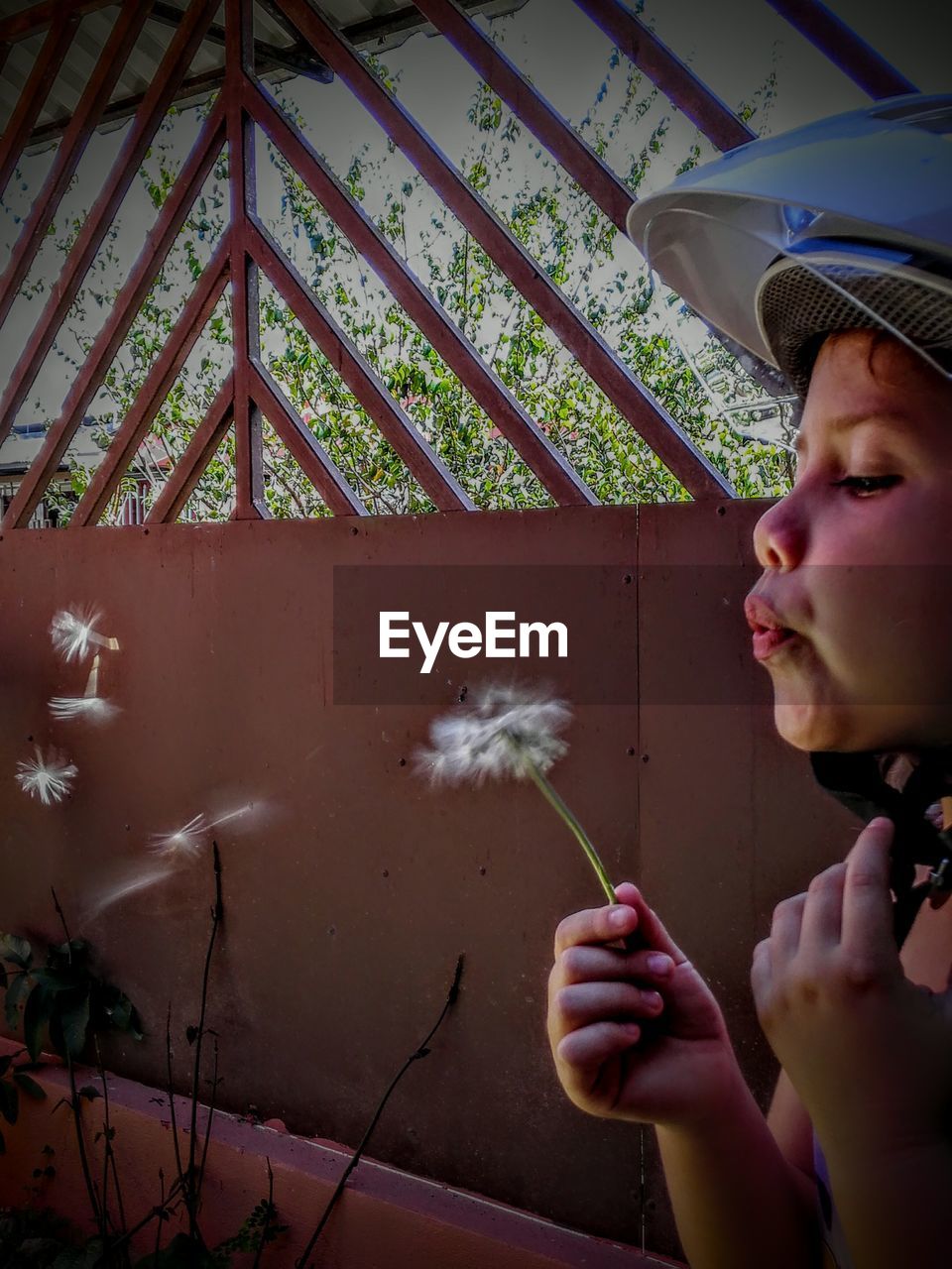 Cropped image of girl blowing dandelion seeds