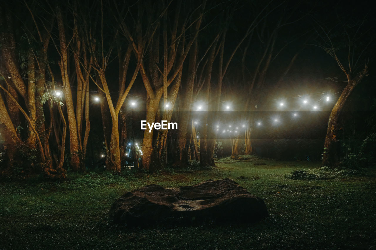 Scenic view of field and forest at night