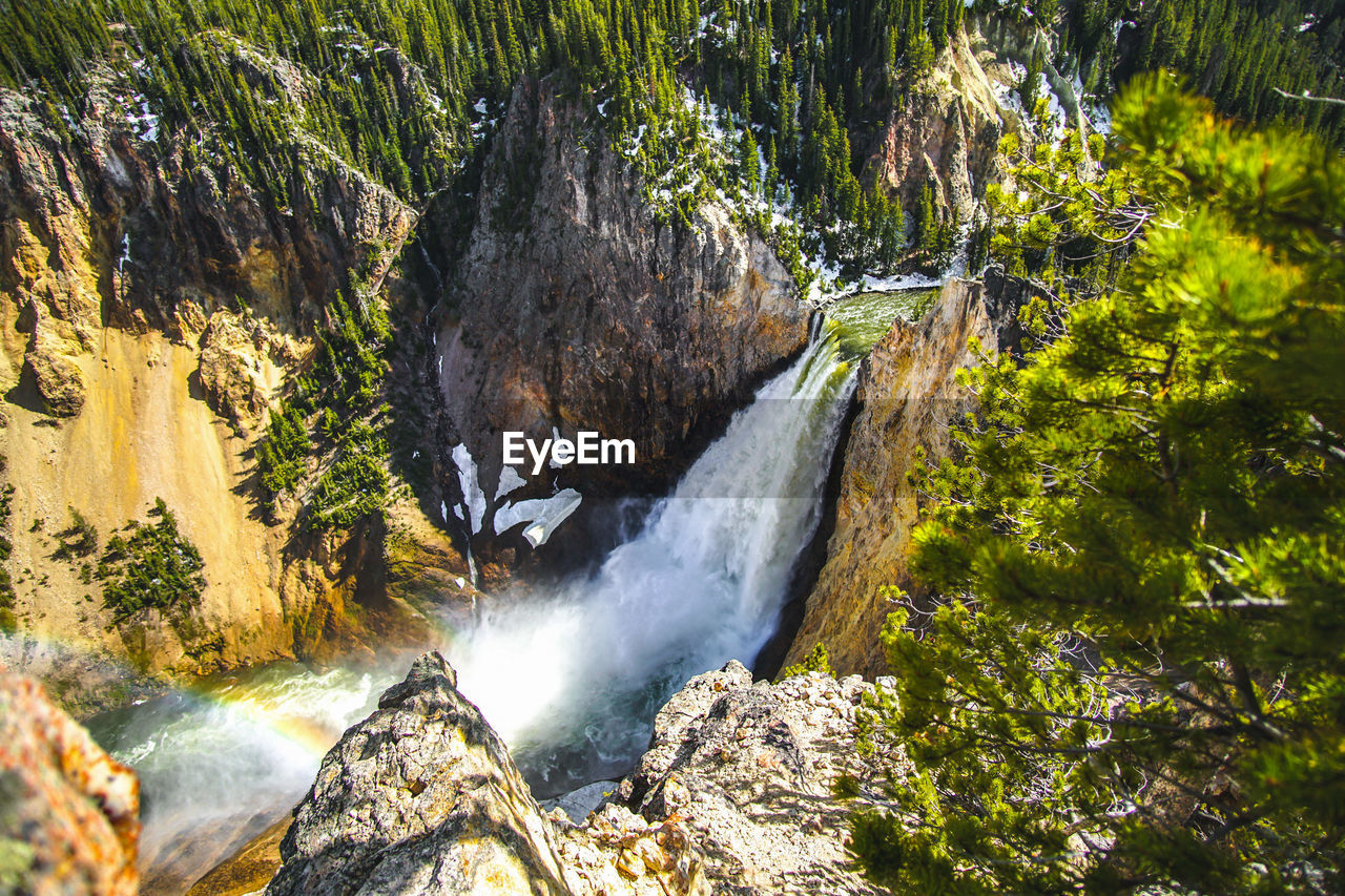 Scenic view of waterfall by rocks and trees in forest