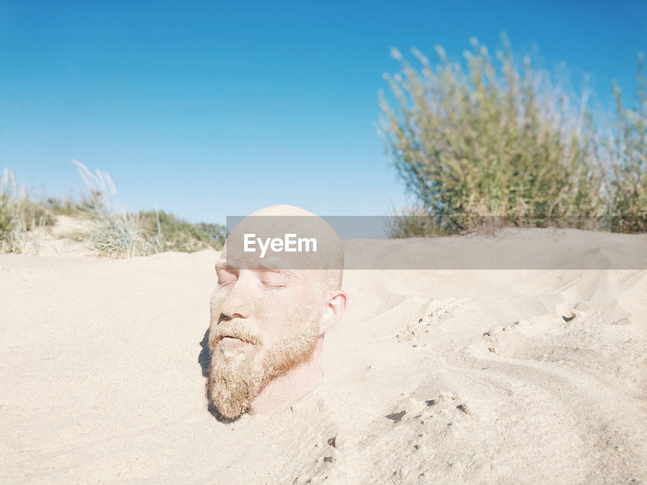 Close-up of man buried in sand at beach against clear sky