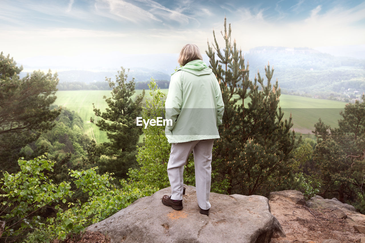 Rear view of man standing on rock looking at mountain