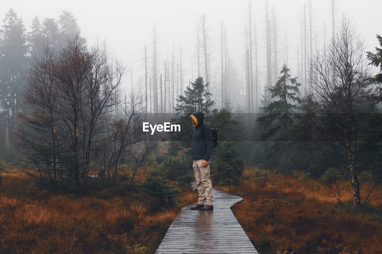 rear view of man walking on footpath amidst trees