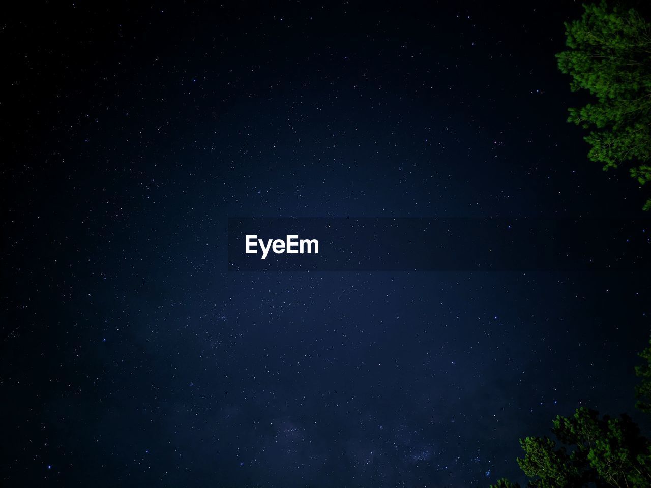 LOW ANGLE VIEW OF TREE AGAINST STAR FIELD AT NIGHT