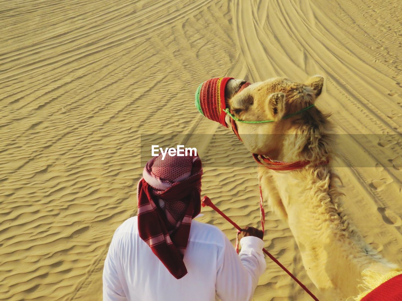 Man with camel in desert