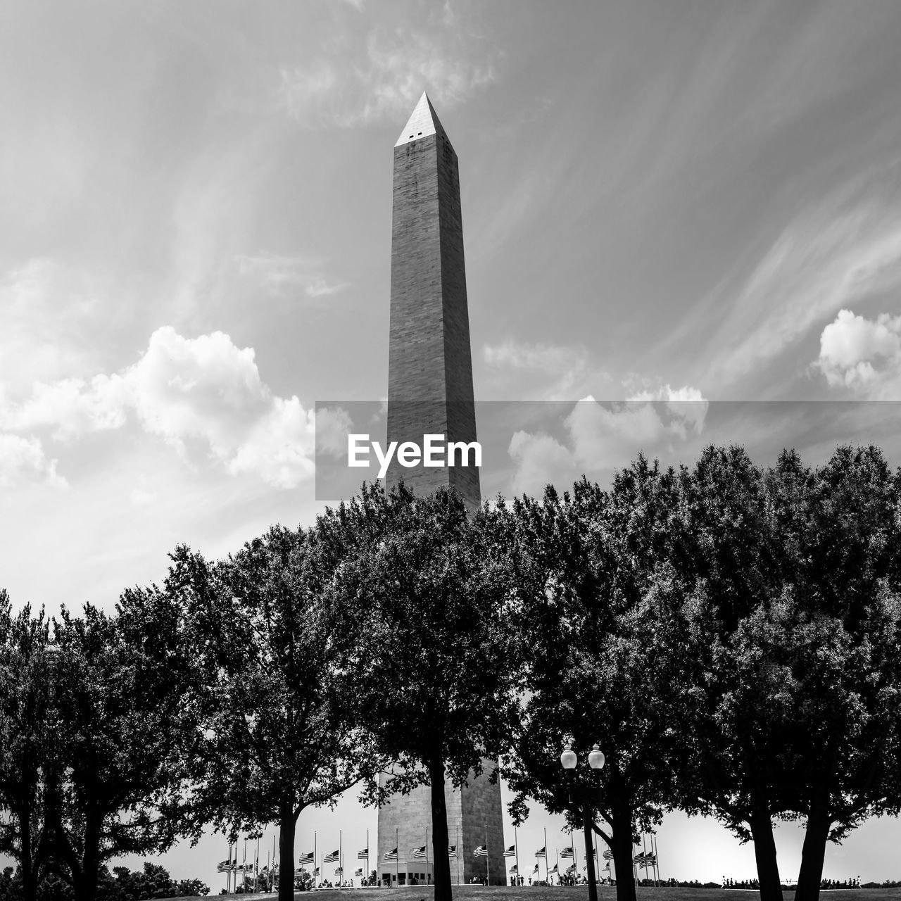 Low angle view of trees and washington monument against sky