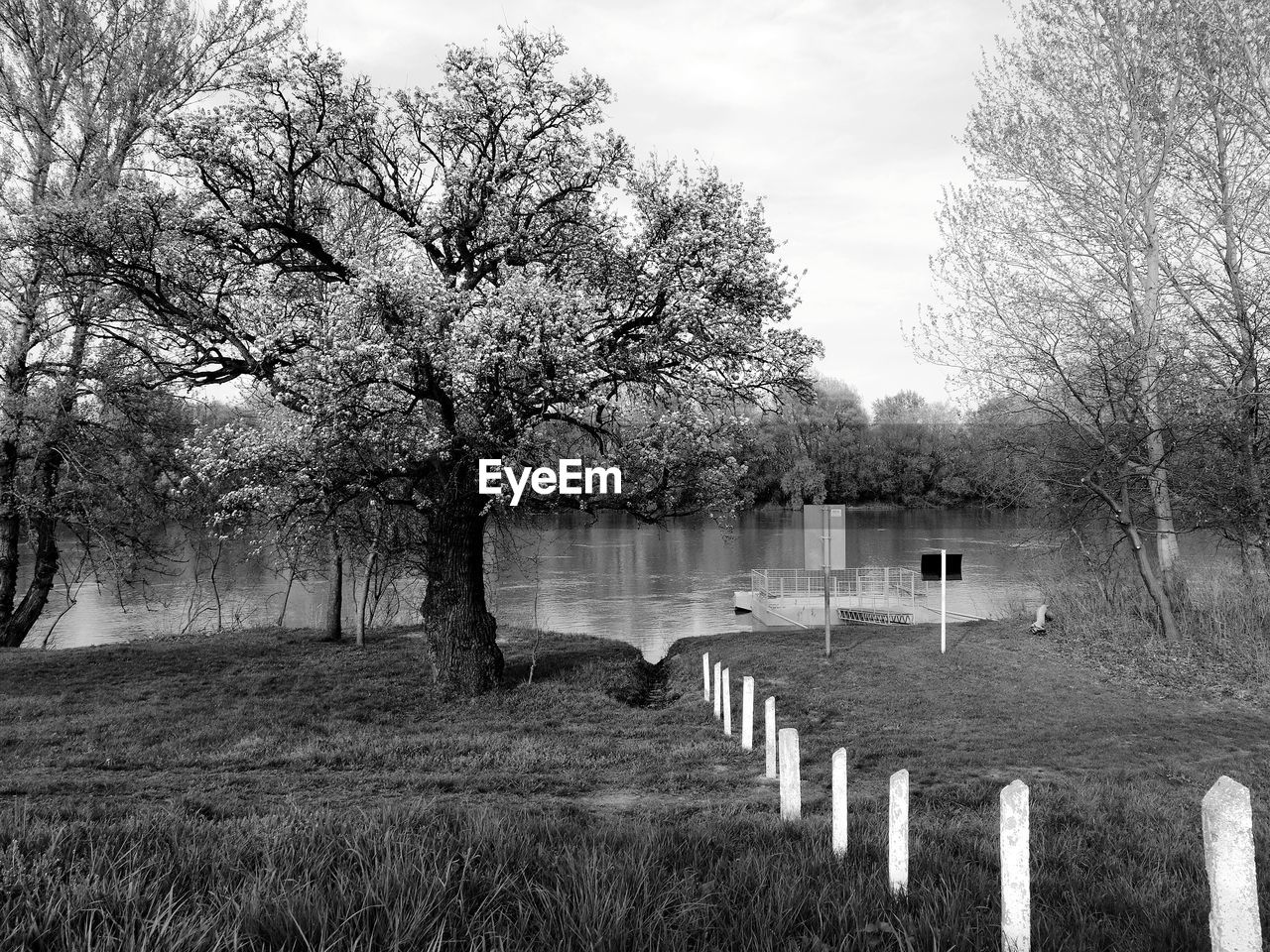 SCENIC VIEW OF LAKE AGAINST TREES