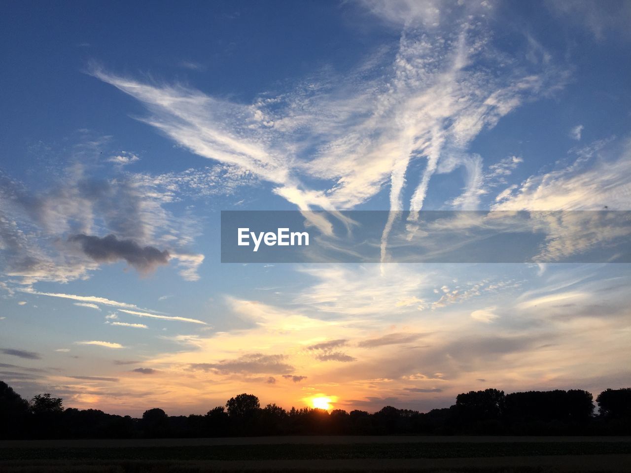 SILHOUETTE TREES ON FIELD AGAINST SKY DURING SUNSET