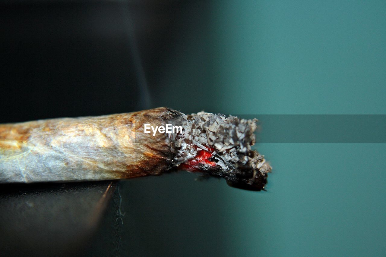 Close-up side view of a cigarette