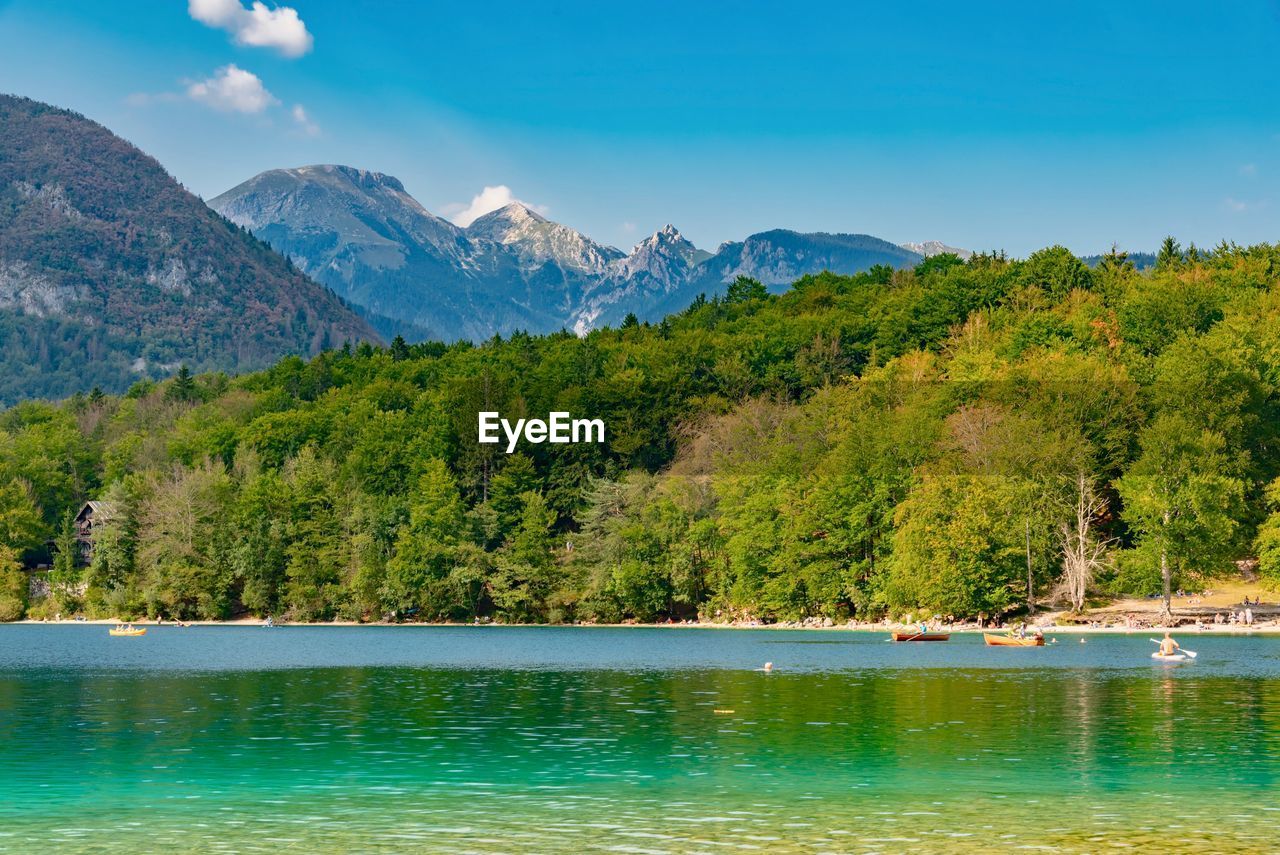 Scenic view of lake by trees in forest against sky