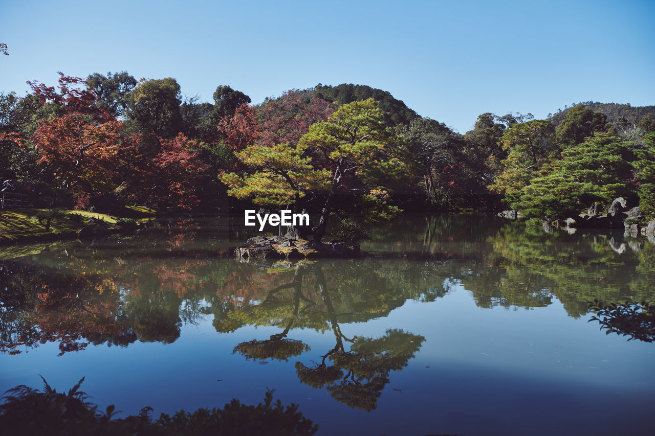 Reflection of trees in lake against clear sky