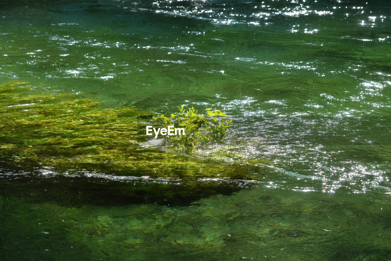 HIGH ANGLE VIEW OF LAKE