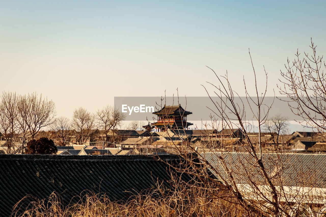 BARE TREES AGAINST BUILT STRUCTURE