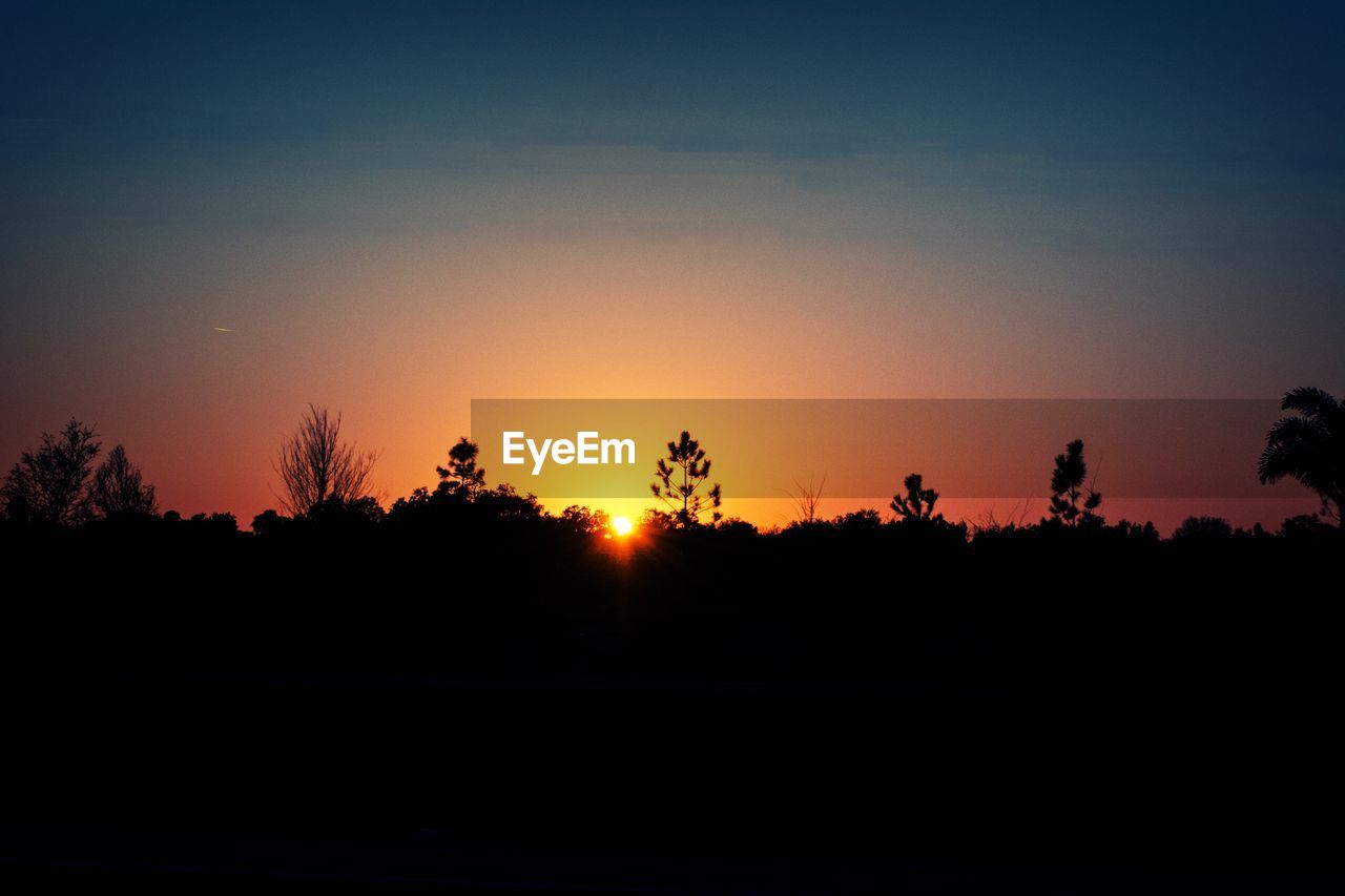 SILHOUETTE OF TREES AT SUNSET