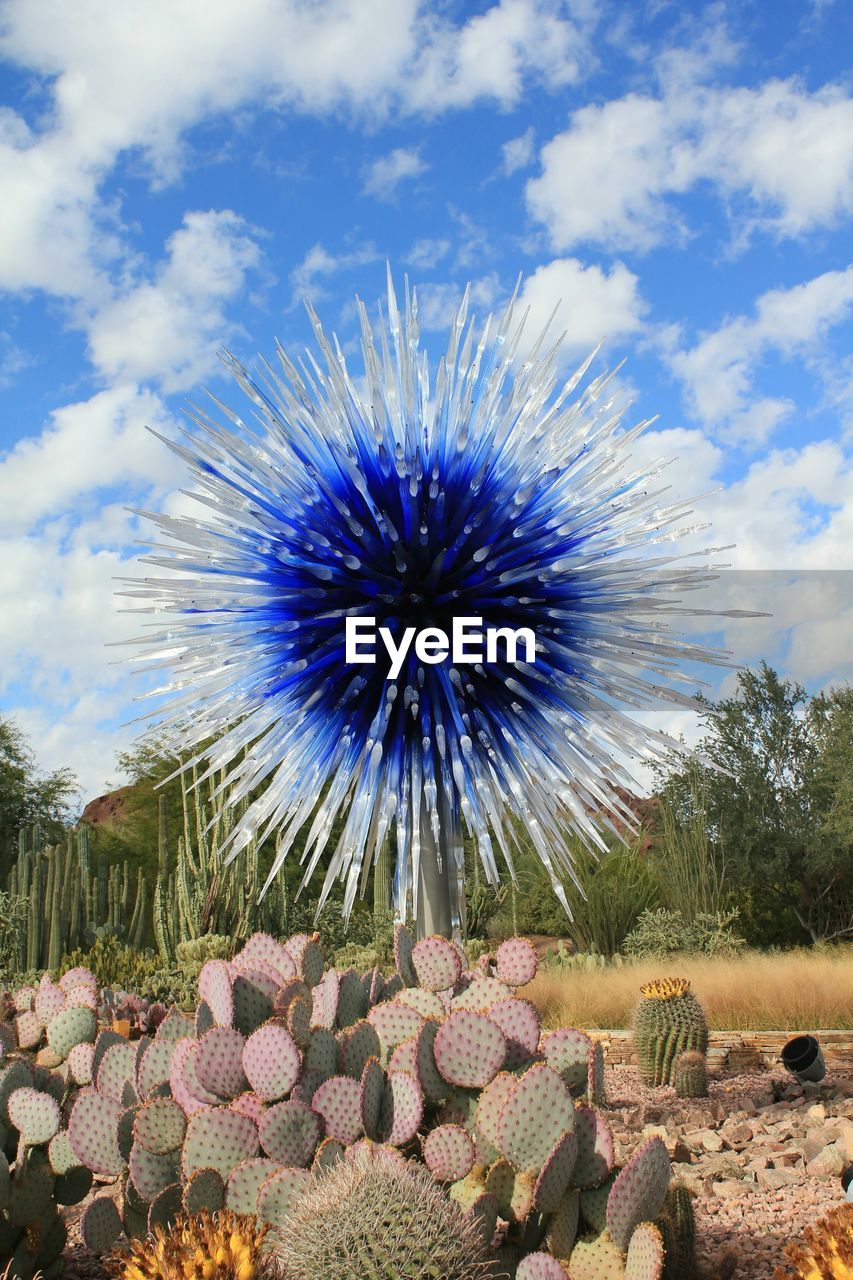 View of flowers against sky