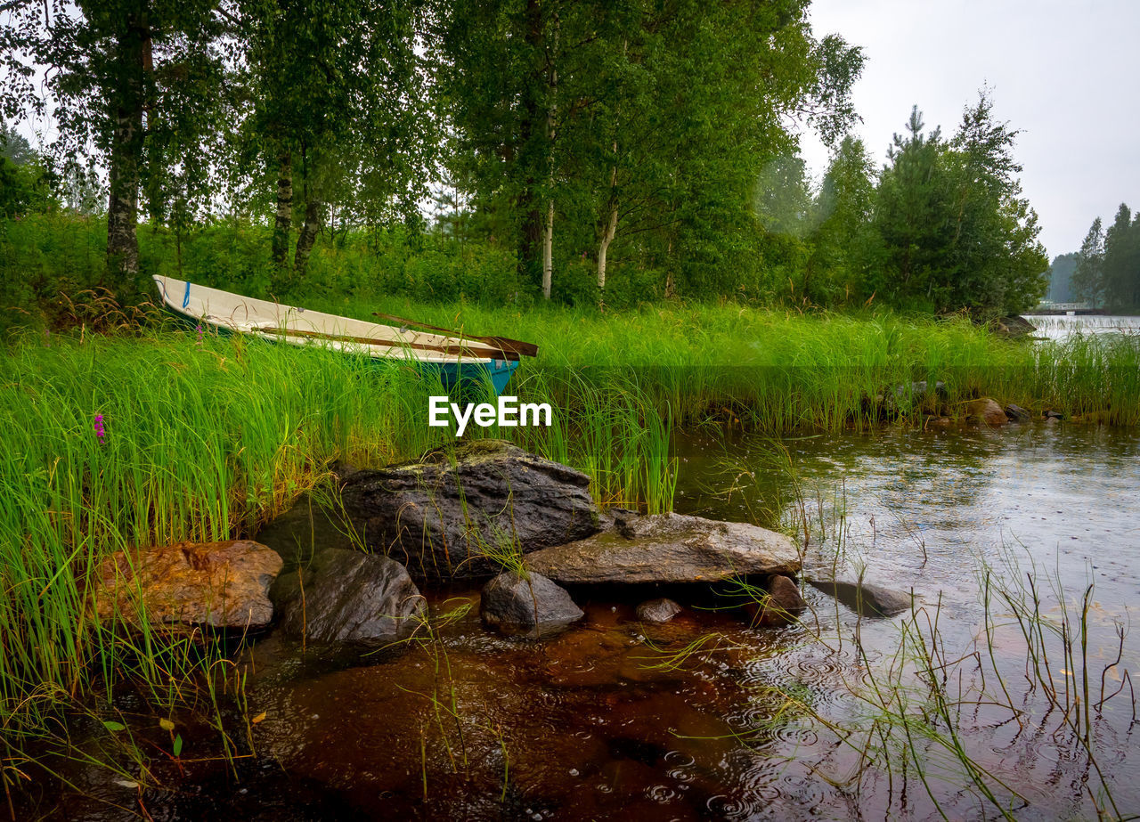 SCENIC VIEW OF LAKE