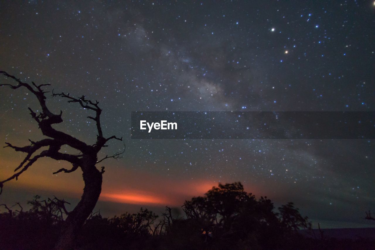 Low angle view of starry sky