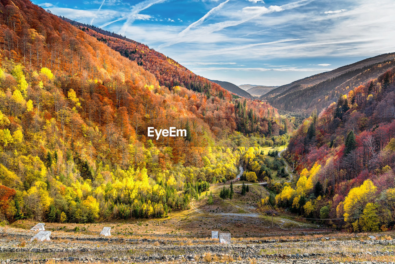 Scenic view of autumn colored forest in transylvanian alps in romania during sunny october day