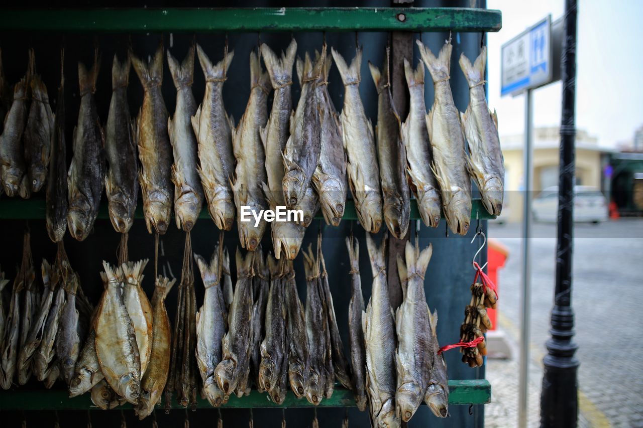 Close-up of dried fish for sale in market